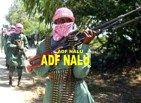 Ituri : 5 otages des ADF retrouvés morts à Irumu
